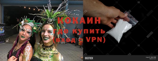 шишки Новодвинск