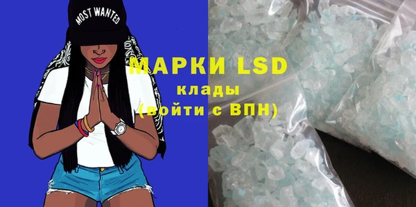 ешки Новозыбков