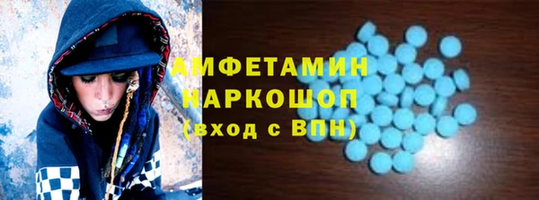 шишки Новодвинск