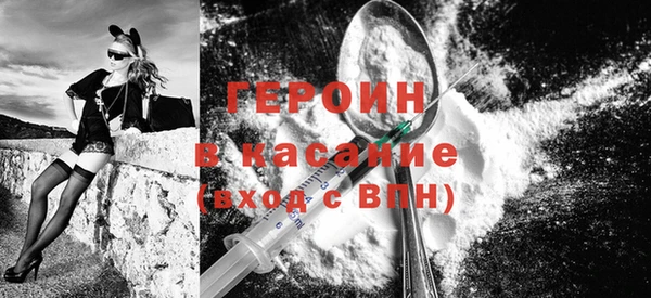 шишки Новодвинск