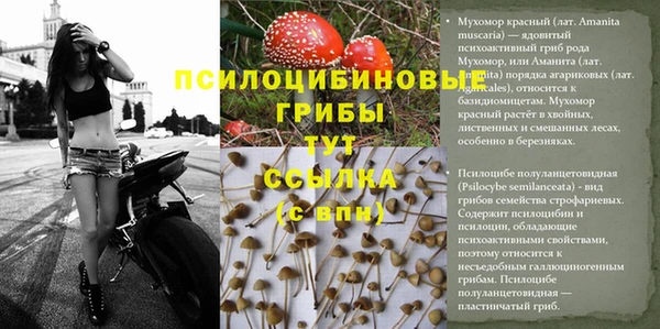 ALPHA PVP Нефтекумск