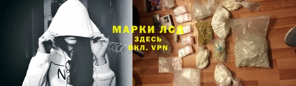 шишки Новодвинск