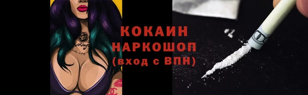 ешки Новозыбков