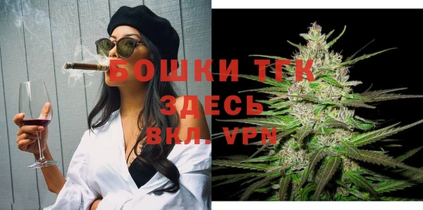шишки Новодвинск