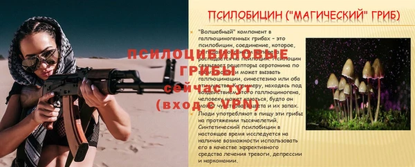 ешки Новозыбков